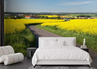 landscape rapeseed and road Wall mural