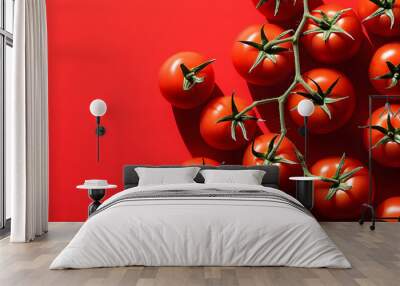 Red tomatoes on a red background top view,  Wall mural