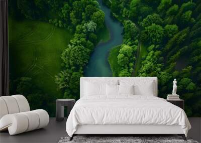 River and green forest in Tuchola natural park Wall mural