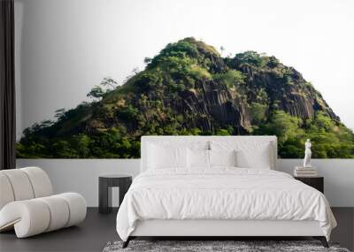 rock mountain hill with green forest isolate on white background Wall mural