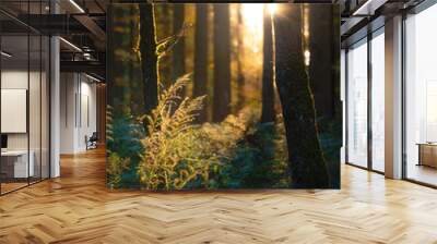 Sun bursting through the forest trees in fall Wall mural