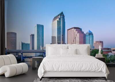 Tampa Bay City Skyline Beautiful Wall mural