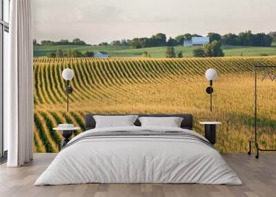 Corn field and barn on rolling hills in late summer sunlight Wall mural