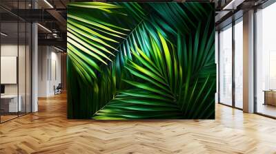 tropical palm leaf and shadow abstract natural green background dark tone textures Wall mural