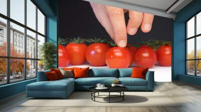 Diese Tomate nehme ich Wall mural