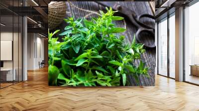 bunch of raw green herb marjoram Wall mural