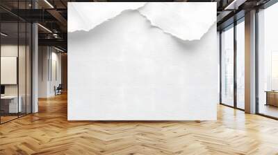 white paper texture background rough and textured in white paper Wall mural