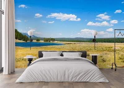 Yellowstone Bison Wall mural