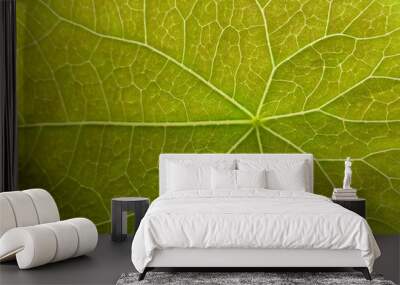 green leaf texture Wall mural