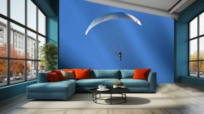 paraglider in the sky,paragliding, sky, parachute, paraglider, sport, fly, extreme,flying, blue, air Wall mural