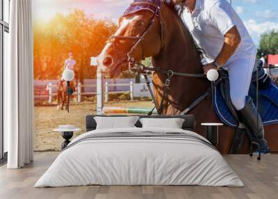 brown horse jumping the obstacle durign a five star competition in Italy Wall mural