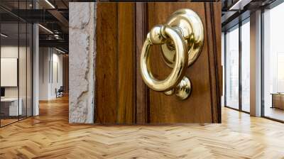 Close Up of Golden Clapper On a Wooden Door Wall mural