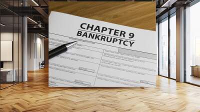  Bankruptcy Chapter 9 Wall mural