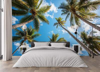 Coconut trees with a blue sky for background Wall mural