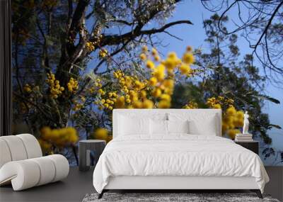 wattle 2 Wall mural