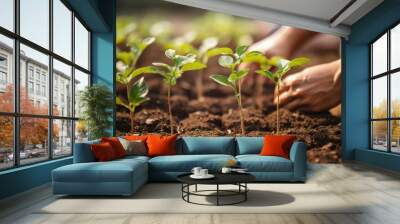 A young man hands are planting saplings and trees that grow Wall mural