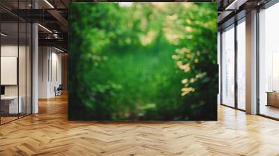 Bokeh of vivid leaves of trees in sunlight. Natural green background. Blurred rich greenery with copy space. Abstract texture of defocused lush foliage in sunny day. Backdrop of scenic nature in blur. Wall mural