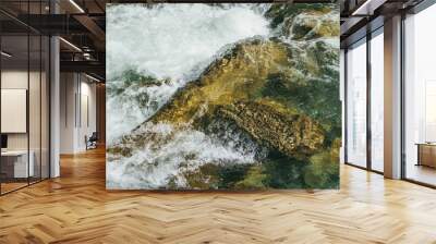 Colorful nature background with big boulder in turbulent flow of mountain river in sunny day. Water surface closeup with big stone in sunshine. Beautiful rapids in fast river. Mountain creek close up. Wall mural