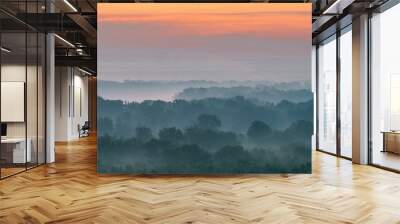 Mystical view from top on forest under haze at early morning. Mist among layers from tree silhouettes in taiga under warm predawn sky. Morning atmospheric minimalistic landscape of majestic nature. Wall mural