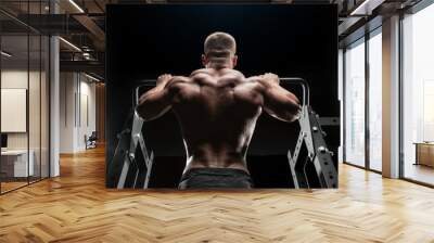 power muscular bodybuilder guy doing pullups in gym. Fitness man pumping up lats muscles. Fitness and bodybuilding training health lifestyle concept Wall mural