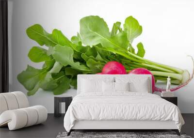 radish isolated on white background  Wall mural