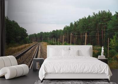 Railway traveling in perspective across forest. Journey on rail track. Poles with wires along rails. Atmospheric landscape with railroad along bushes and trees with copy space. Wall mural