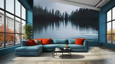 Silhouettes of pointy tree tops on hillside along mountain lake in dense fog. Reflex of pines to calm water of highland lake. Alpine tranquil landscape at early morning. Ghostly atmospheric scenery. Wall mural