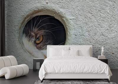 eye in the hole Wall mural