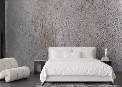 Gray concrete wall in closeup view. Wall mural