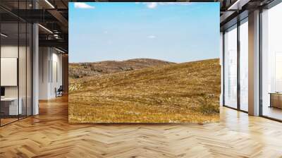 Mountain pasture in autumn sunny day. Wall mural