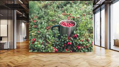 Picking red cranberries in metal cup in forest Wall mural