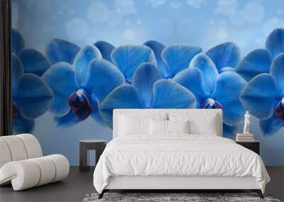 blue orchid on blue background Wall mural