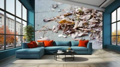 Autumn leaves lying on the street Wall mural