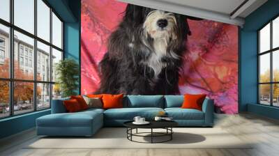 dirty dog painter Wall mural