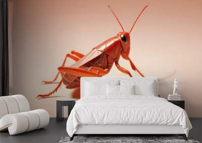 Giant Shield mantis closeup with self defense position on white background Shield mantis closeup Wall mural