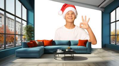 Portrait of a smiling boy in a red hat and white t-shirt with okay sign gesture on a transparent background. A child in a Christmas hat of Santa Claus. Wall mural