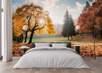 Beautiful bright colorful autumn landscape with a carpet of yellow leaves. Natural park with  Wall mural