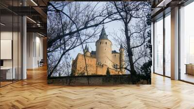 tower of the castle Wall mural