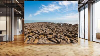 The Stromatolites in the Area of Shark Bay, Western Australia. Australasia Wall mural