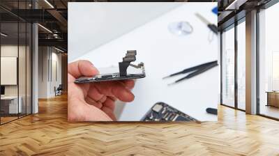 Technician Hand Repairing Cellphone,process of mobile phone repair, isolated on white background,Selective focus Wall mural