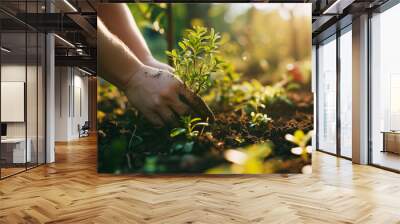 Person planting trees or working in community garden promoting local food production and habitat restoration, concept of Sustainability and Community Engagement Wall mural