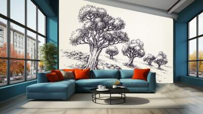 Olive trees orchard hand drawing Wall mural