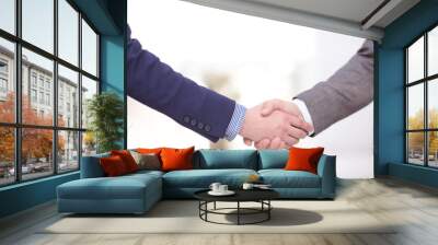 Close up view of business partnership handshake concept.Photo of two businessman handshaking process.Successful deal after great meeting. Wall mural