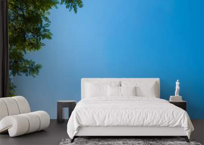 Panorama of tree branches and leaves in the blue sky. spring background Wall mural