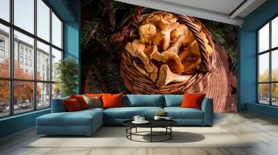 Chanterelle Wall mural