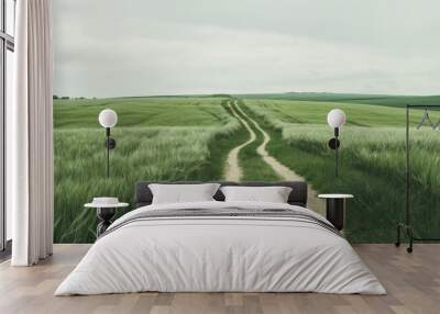 Peaceful footpath through a farmland landscape Wall mural