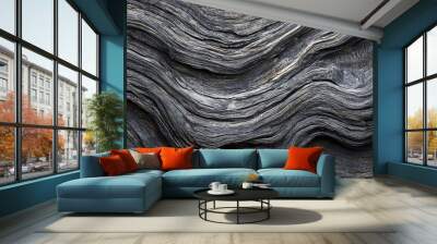 Beautiful Gray Wood Grain Texture. A detailed texture of gray wood grain. Wall mural