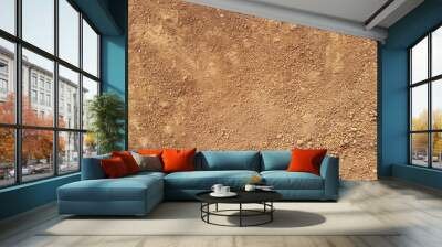 Red Dirt road texture Soil background Wall mural