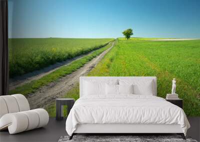 A rural road through green fields, a tree to the horizon and the blue sky Wall mural