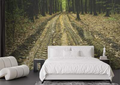 Clay road in the forest with wheel marks Wall mural